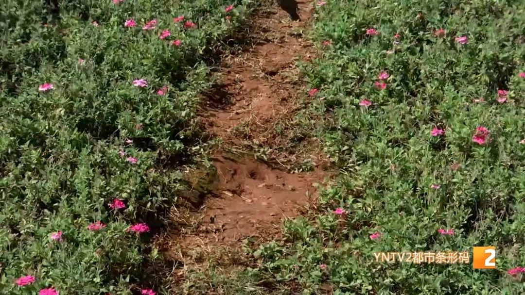昆明信息港(微信)