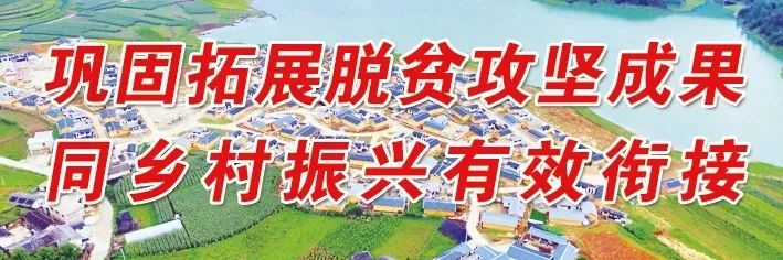 丽江日报(微信)