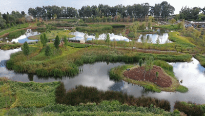 这里为何成为世界热点？看生物多样性保护的“云南智慧”