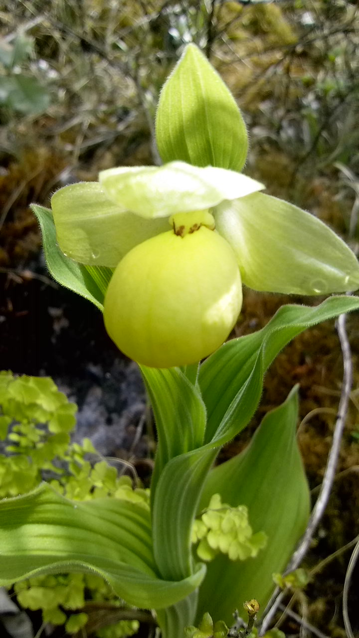 云南政法(微信)