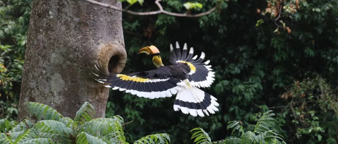 德宏团结报(微信)