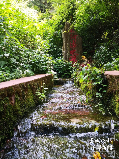 春城晚报(微信)