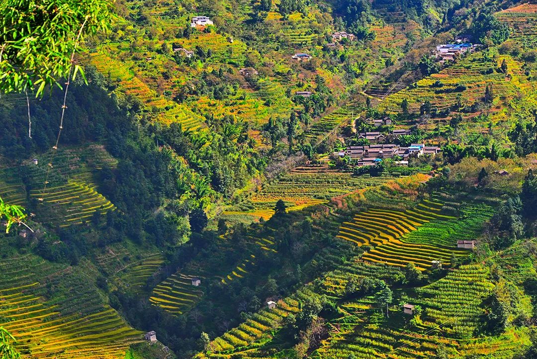 保山新闻网(微信)