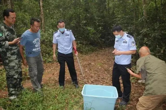 云南政法(微信)