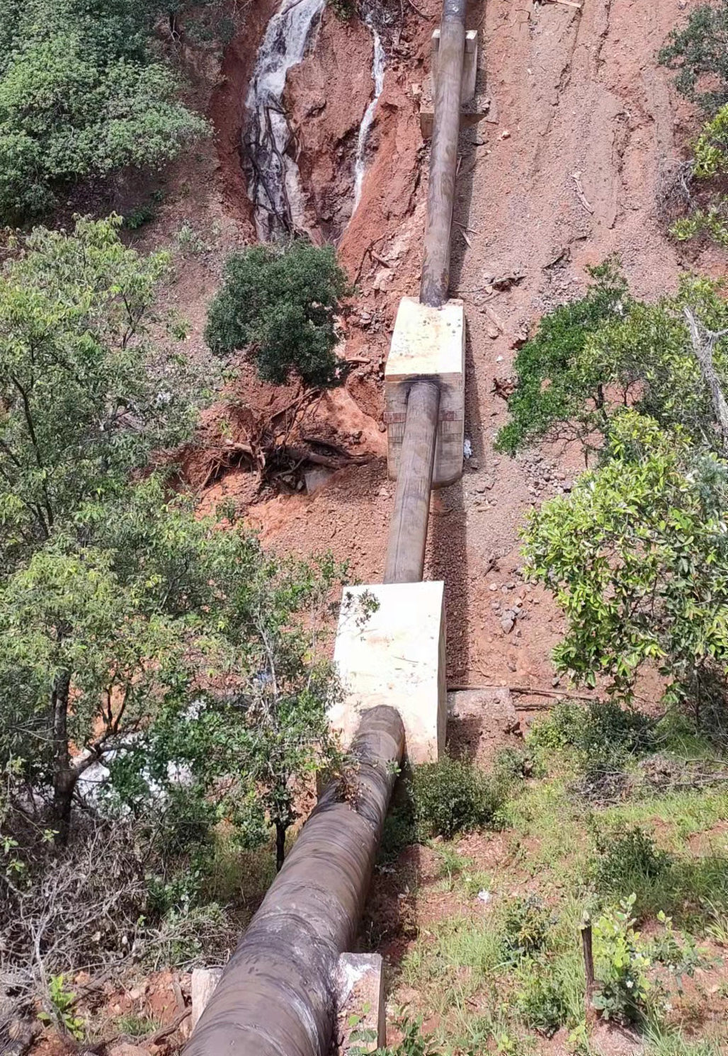 丽江日报(微信)