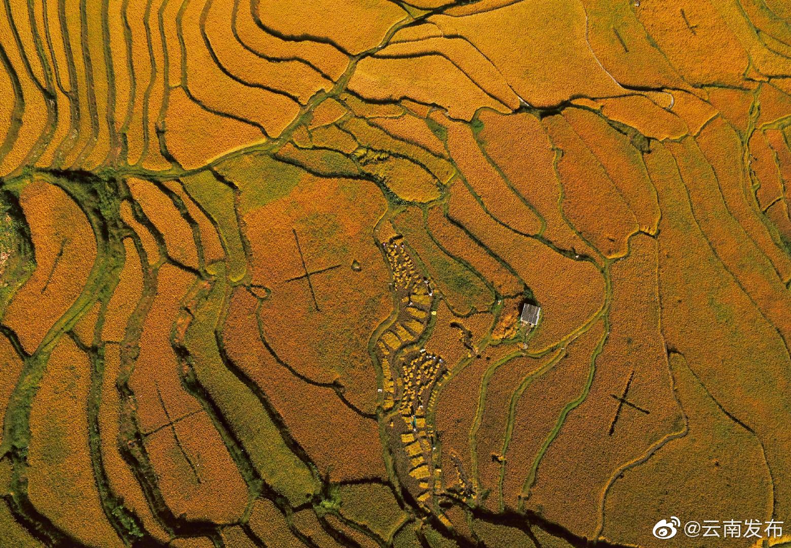 “云南发布”微博