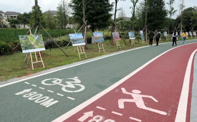 春城晚报(微信)