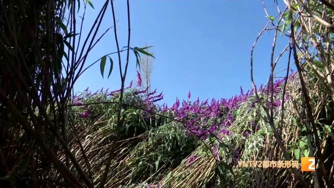 昆明信息港(微信)