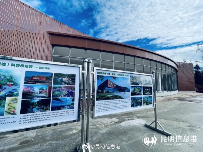 昆明信息港微博