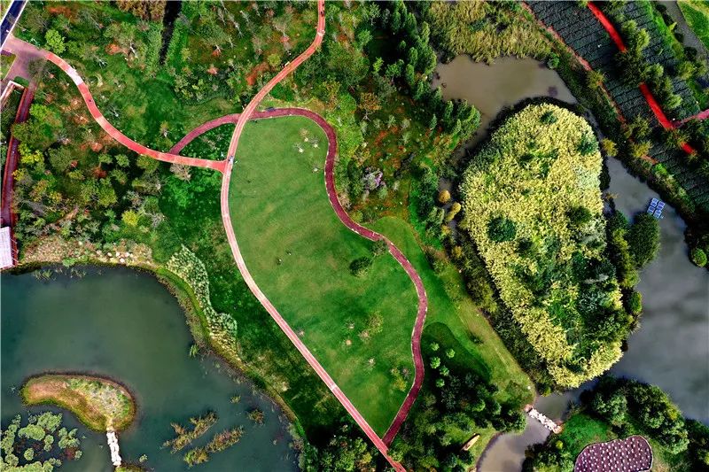 昆明发布(微信)