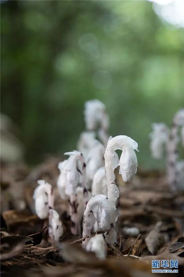 昆明信息港(微信)