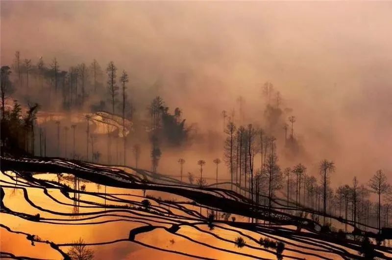 红河文旅(微信)