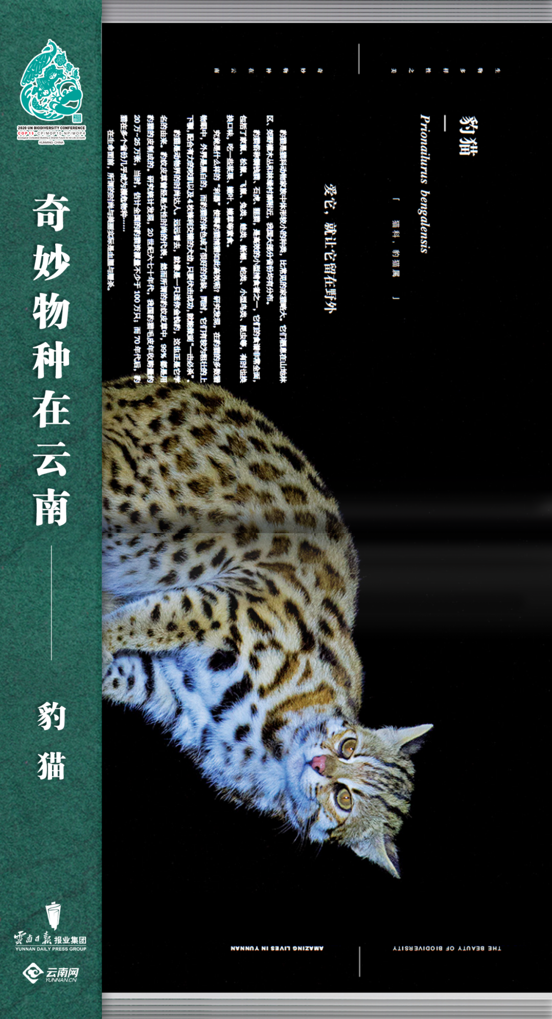 云南法制报(微信)