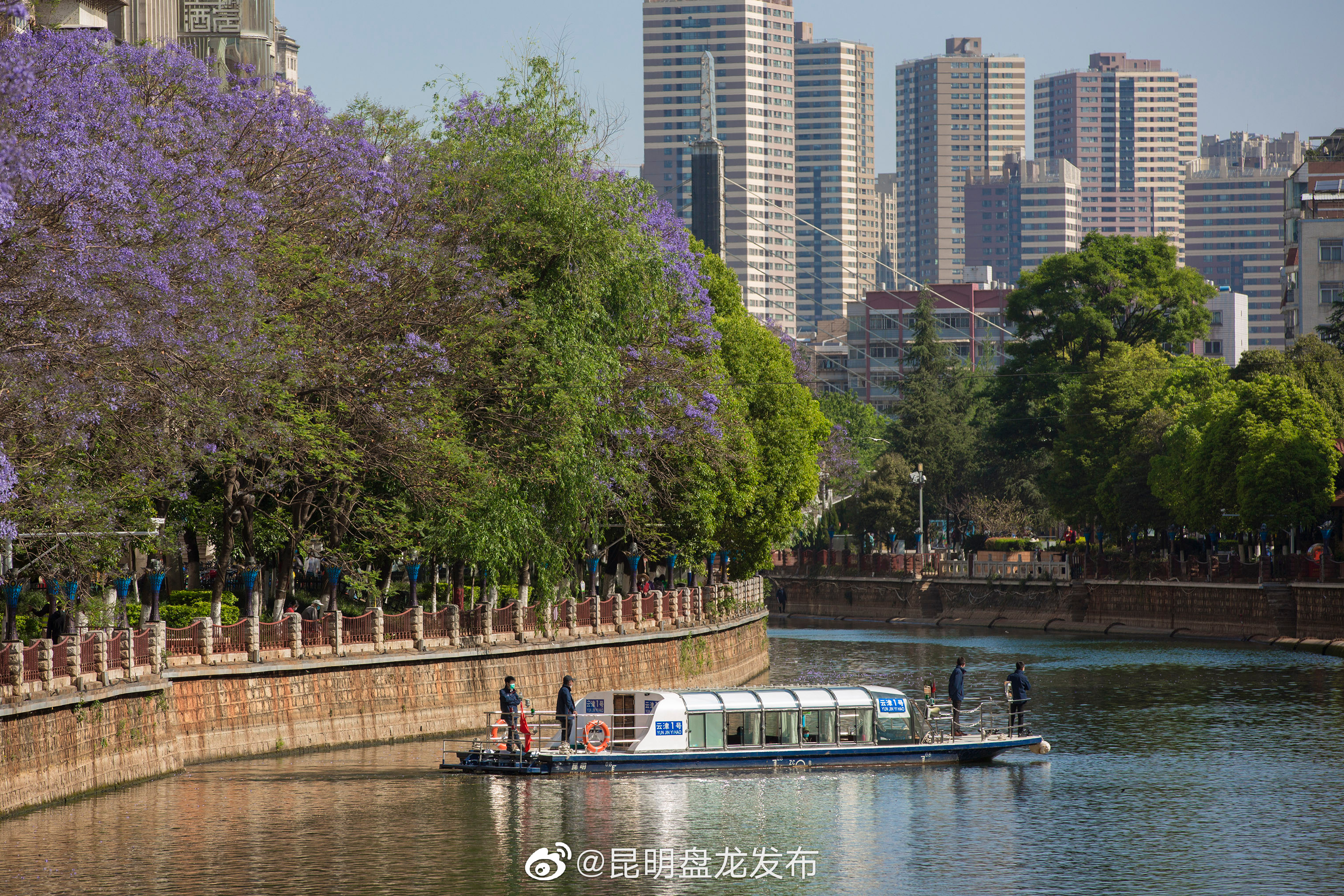“昆明盘龙发布”微博