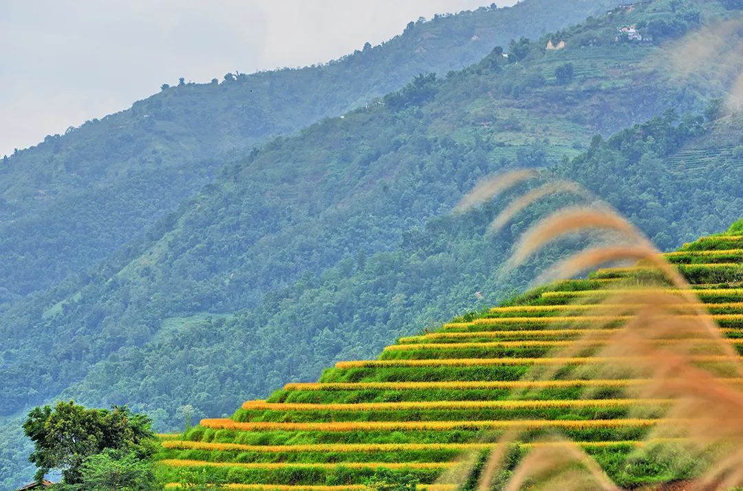 保山新闻网(微信)