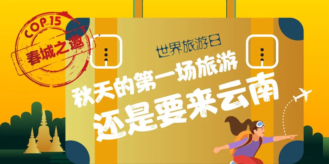 春城晚报(微信)