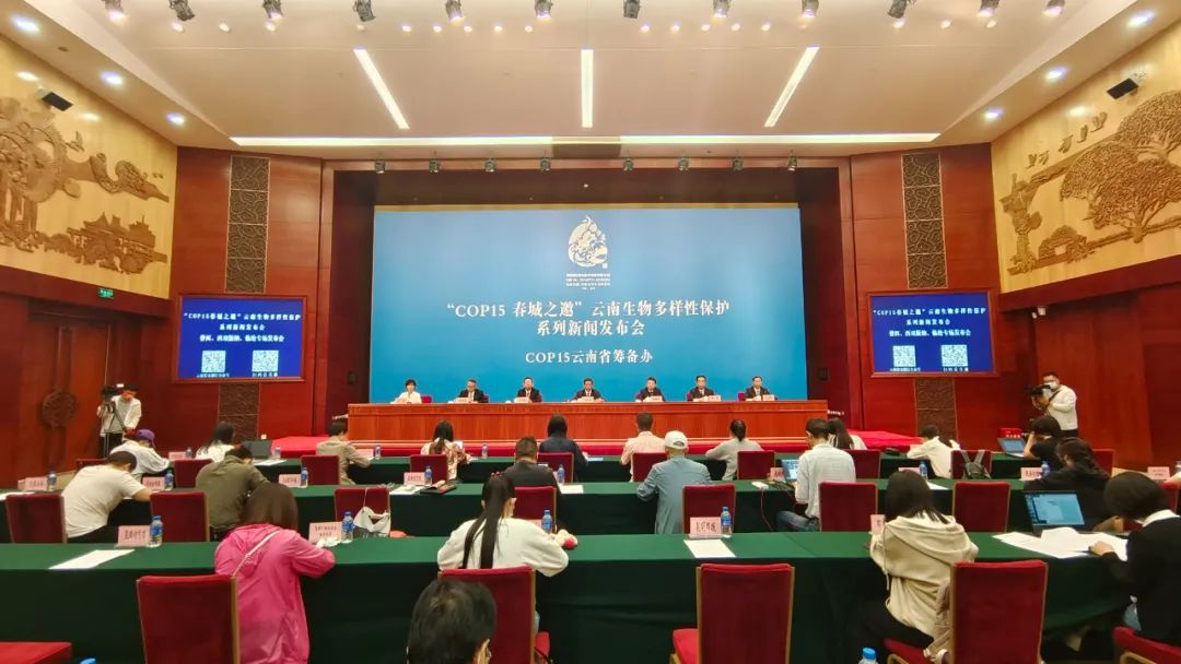 普洱日报(微信)