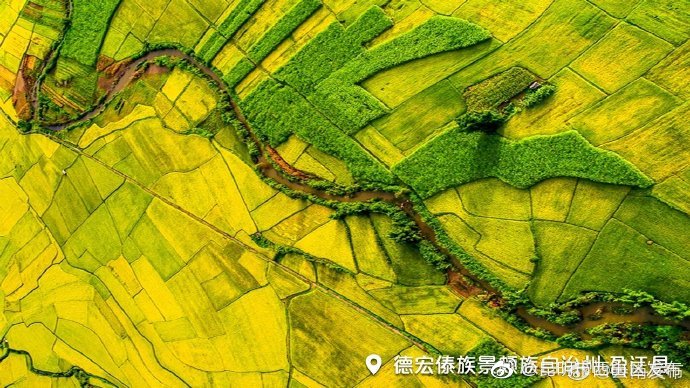 “昆明市西山区发布”微博