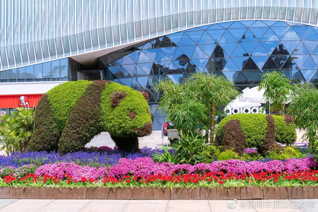 “昆明市西山区发布”微博