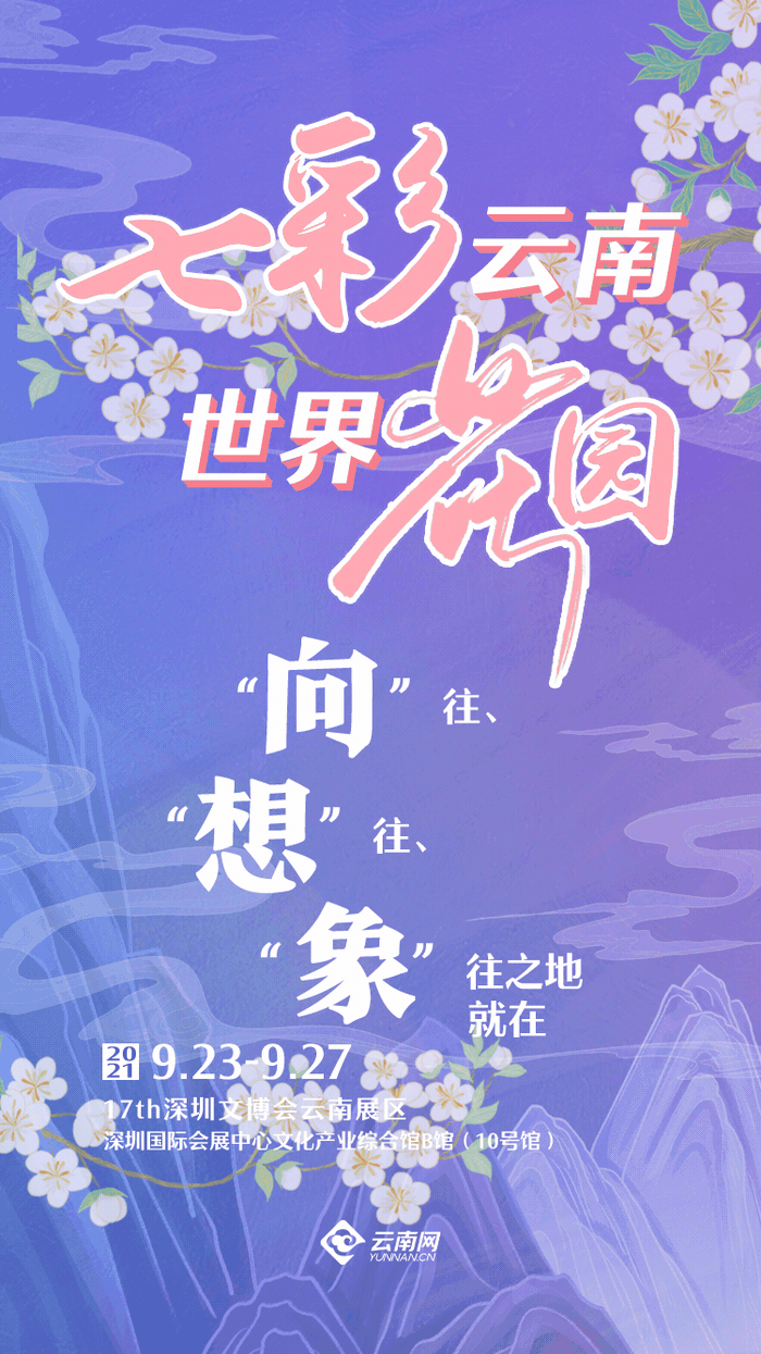 相约第十七届深博会，云南展区等您来揭秘