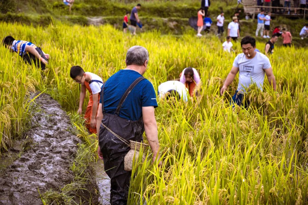 保山新闻网(微信)