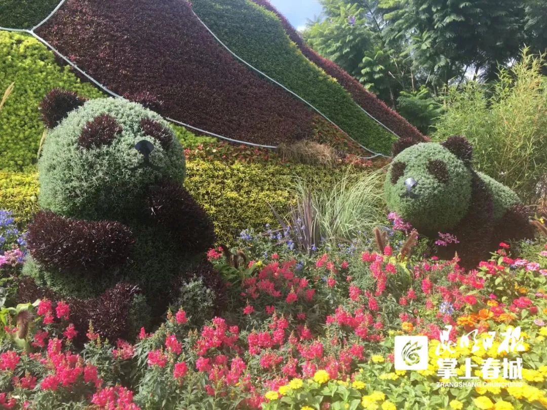 掌上春城(微信)