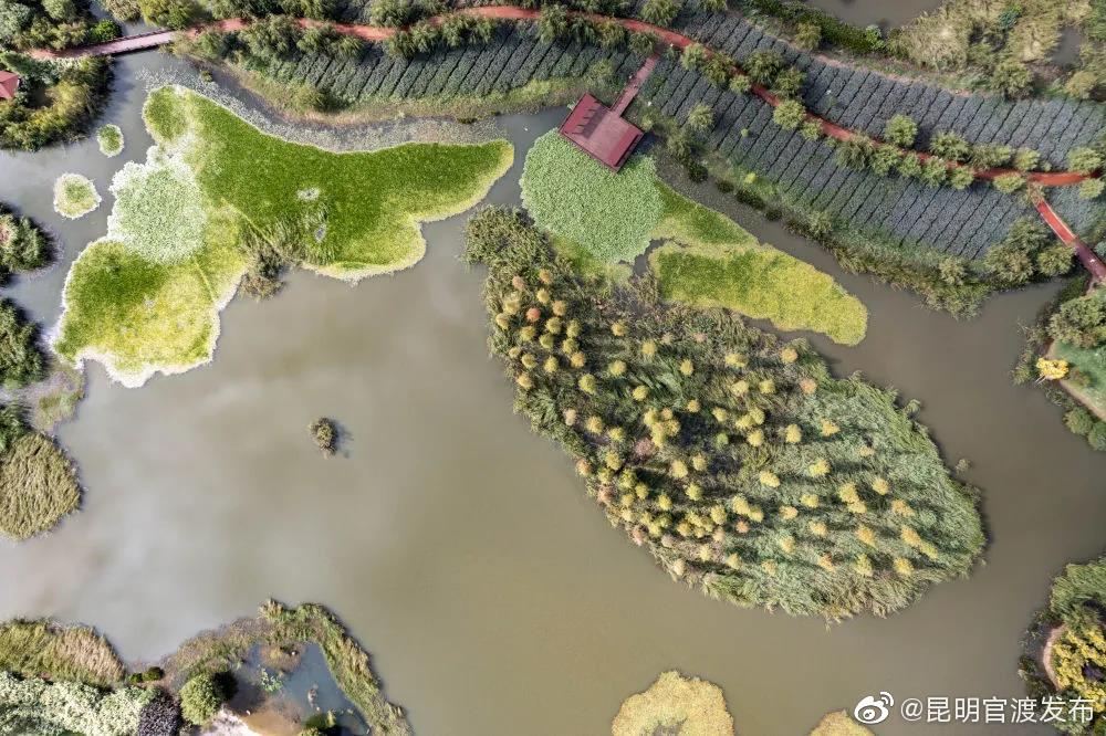 “昆明官渡发布”微博