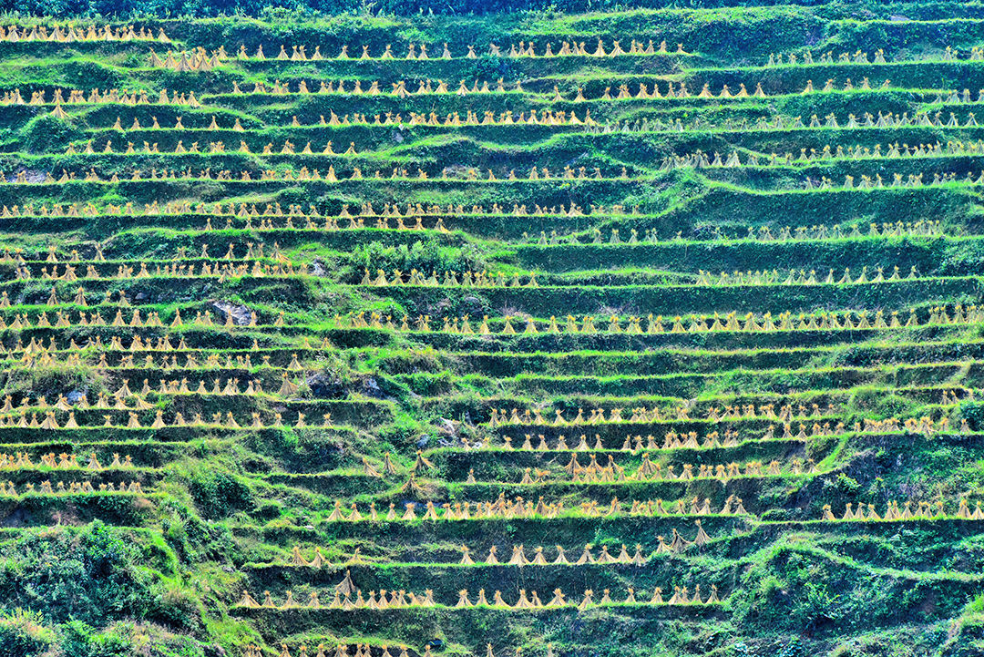 保山新闻网(微信)