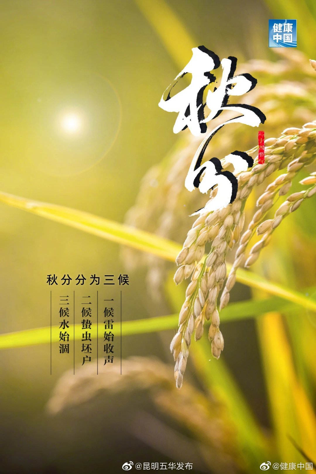 “昆明五华发布”微博