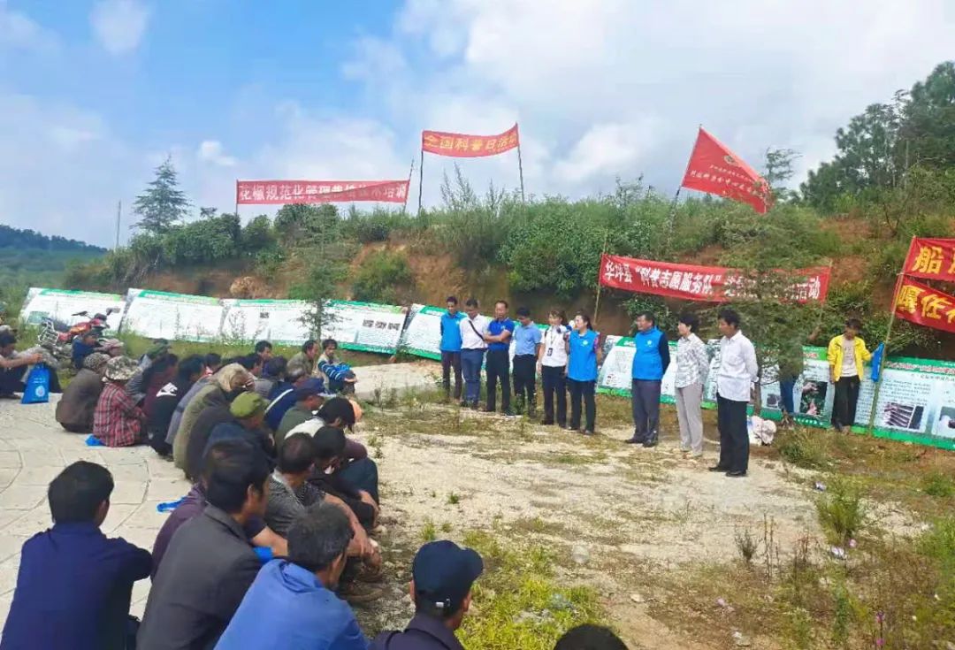 丽江日报(微信)