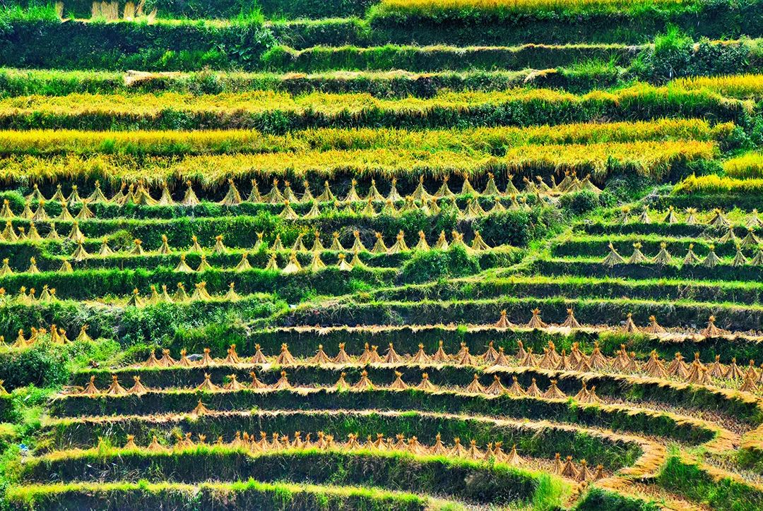 保山新闻网(微信)