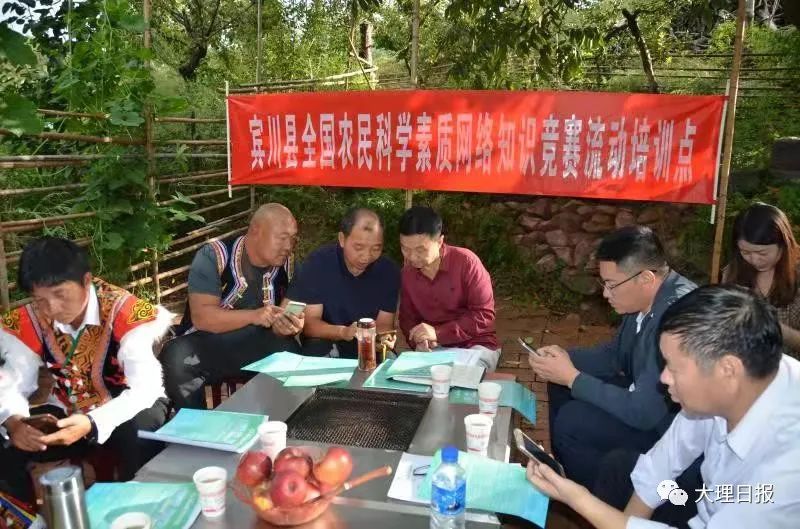 大理日报(微信)