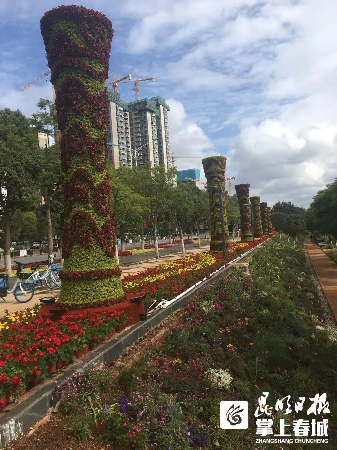 掌上春城(微信)