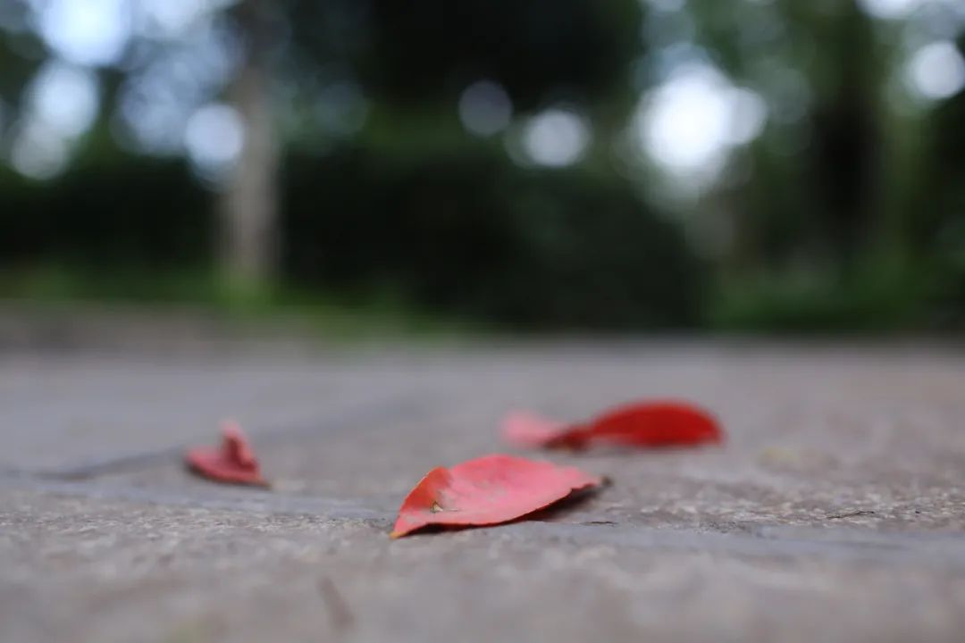 云南广播电视台(微信)