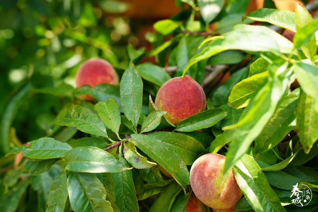 昆明发布(微信)