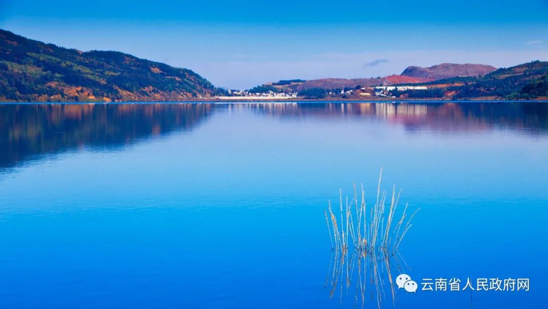 云南省人民政府网