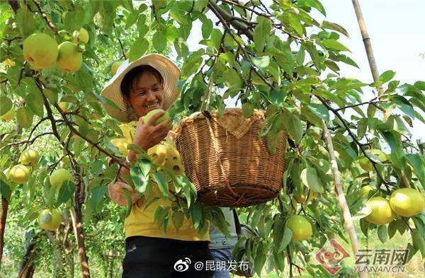 “昆明发布”微博