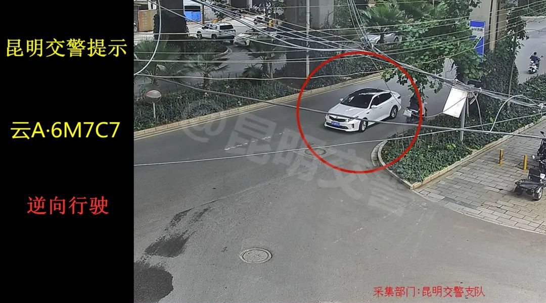 昆明交警(微信)