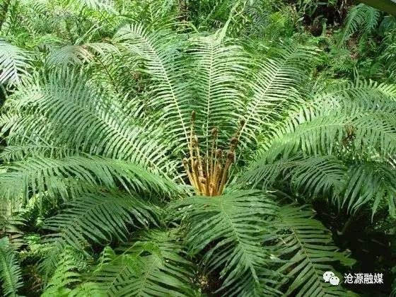 云南广播电视台(微信)