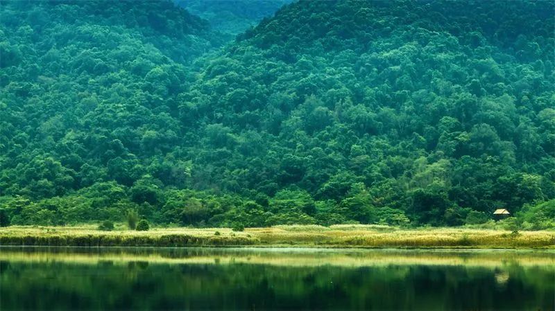 普洱日报(微信)