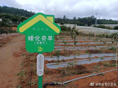 昆明晋宁发布