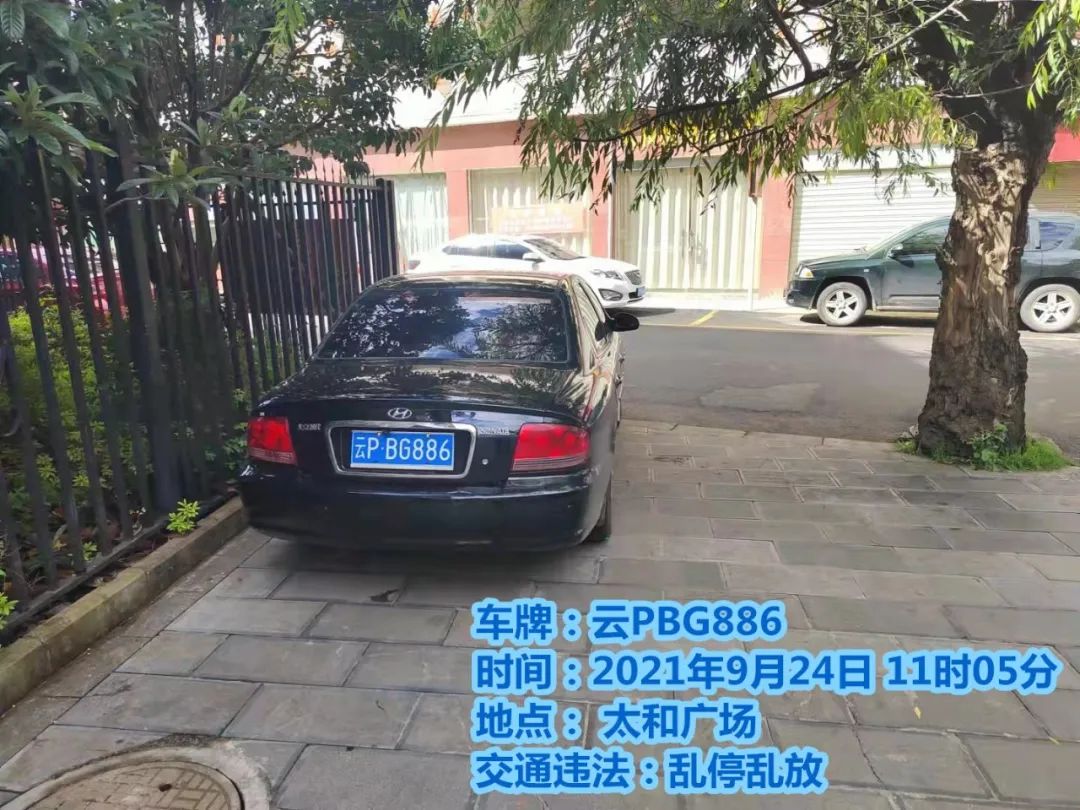 丽江日报(微信)