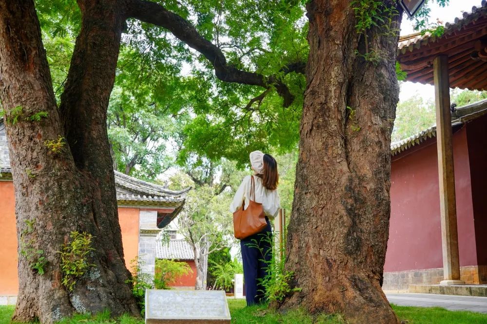 红河文旅(微信)