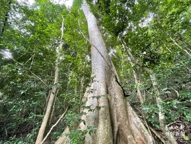 昆明滇池国家旅游度假区管理委员会(微信)