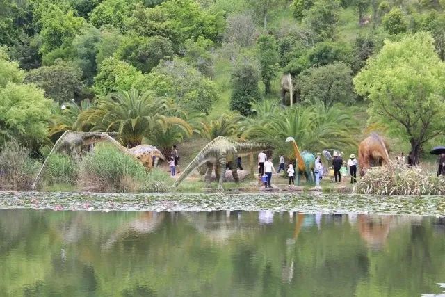 春城晚报(微信)