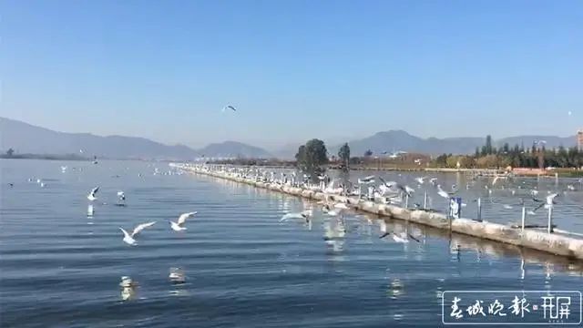 昆明滇池国家旅游度假区管理委员会(微信)