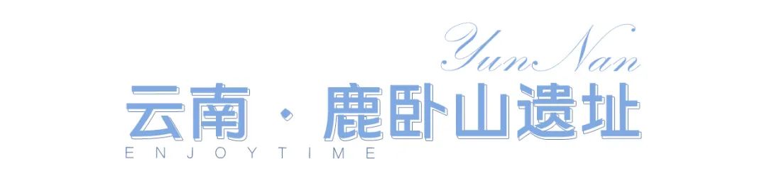 春城晚报(微信)