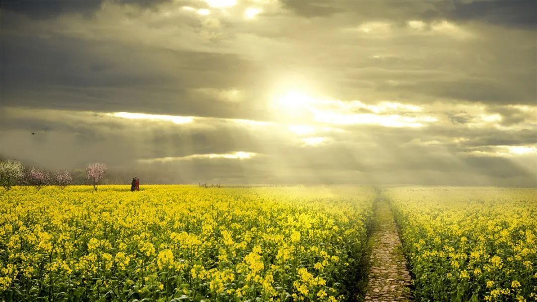 昆明铁路(微信)