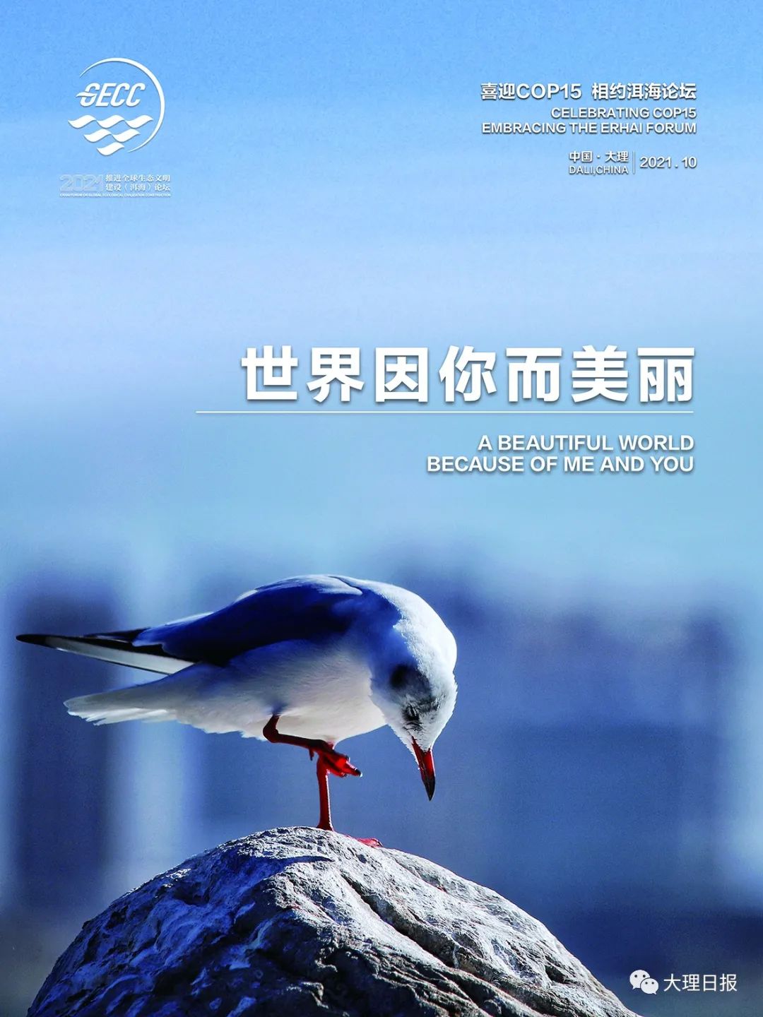 大理日报(微信)