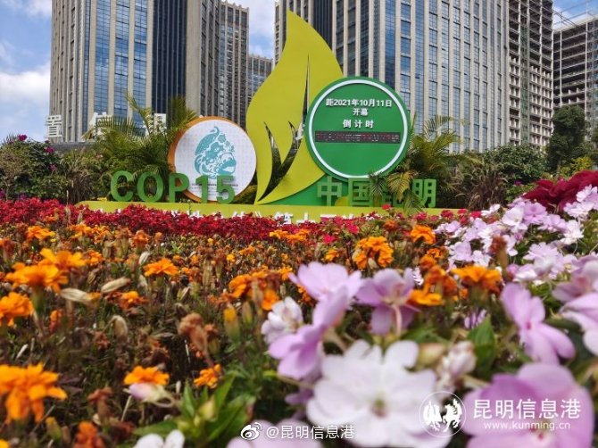 昆明信息港微博